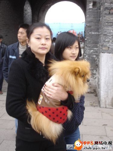 dvubb 图片点击可在新窗口打开查看