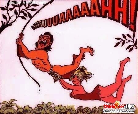 dvubb 图片点击可在新窗口打开查看