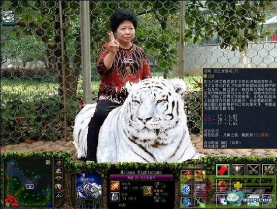 ͼƬ��������´��ڴ򿪲鿴