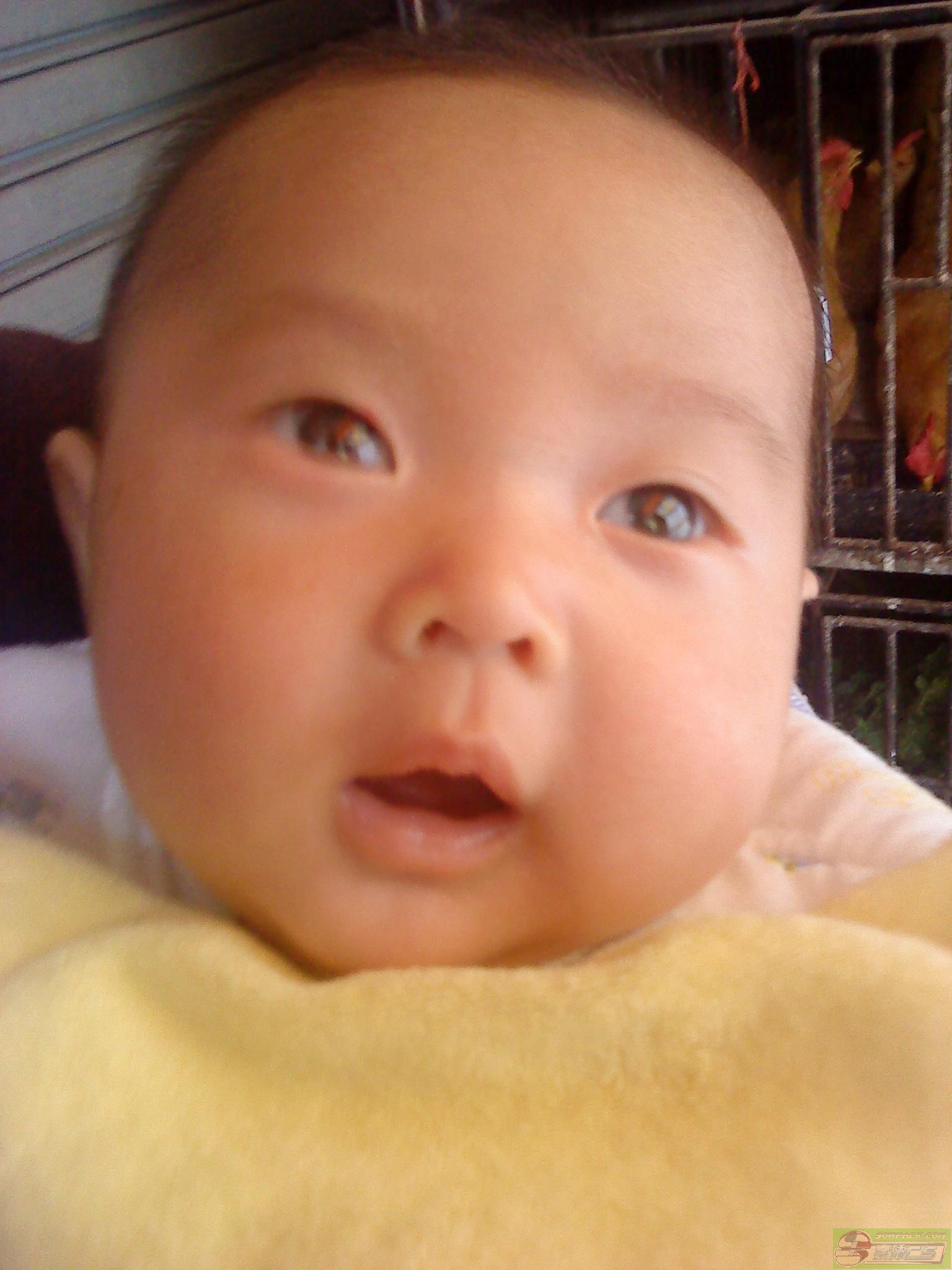 dvubb 图片点击可在新窗口打开查看