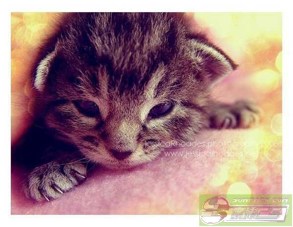 ͼƬ��������´��ڴ򿪲鿴