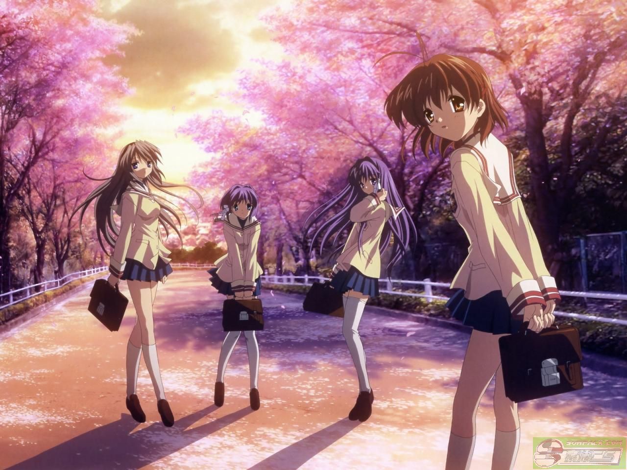 dvubb 图片点击可在新窗口打开查看