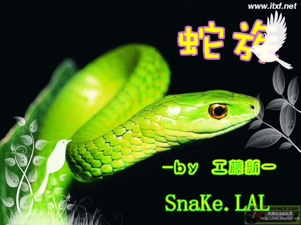 ͼƬ��������´��ڴ򿪲鿴