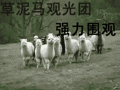 ͼƬ��������´��ڴ򿪲鿴