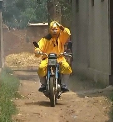 ͼƬ��������´��ڴ򿪲鿴