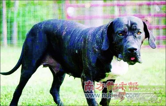 dvubb 图片点击可在新窗口打开查看